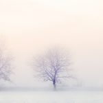 winter landscape, trees, snow-2571788.jpg