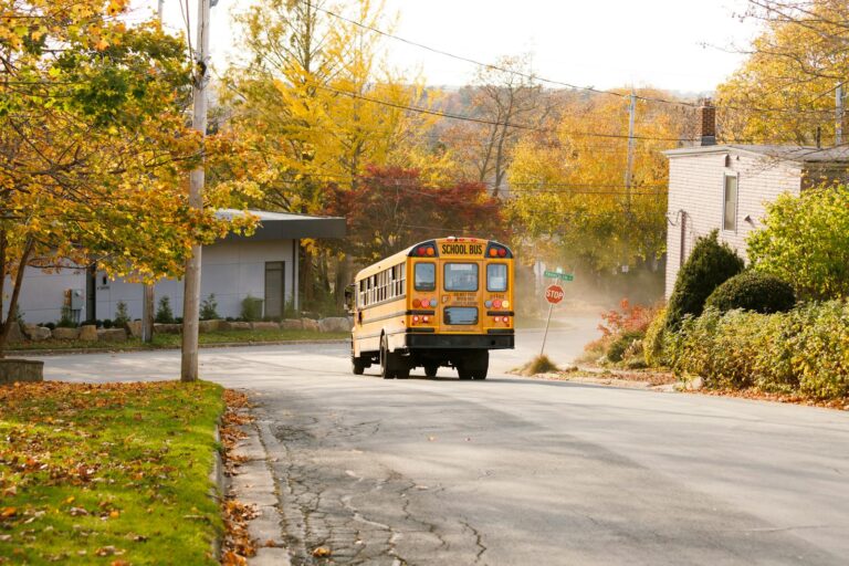 School Bus in Village