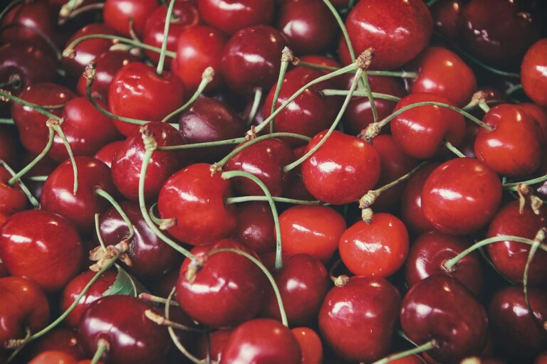 Cherry Fruits